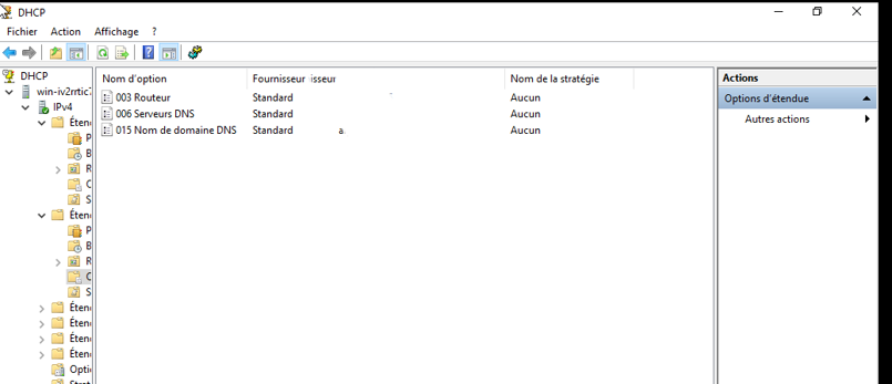 Options DHCP configurées